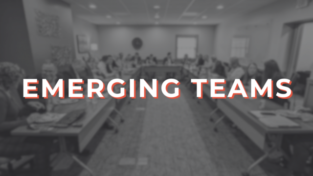 Emerging Teams: Developing Leaders for the Future